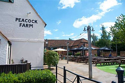 Peacock Farm