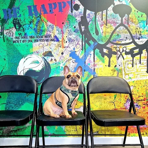 Bulldog Barbers