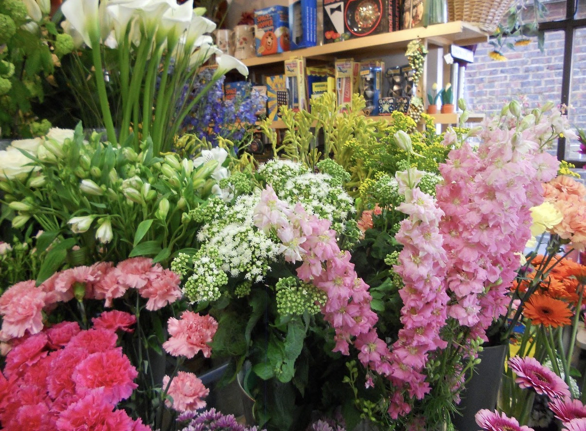 The Little Flower Pot photo