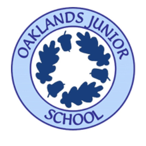 The Beehive Club - Oaklands Junior School photo
