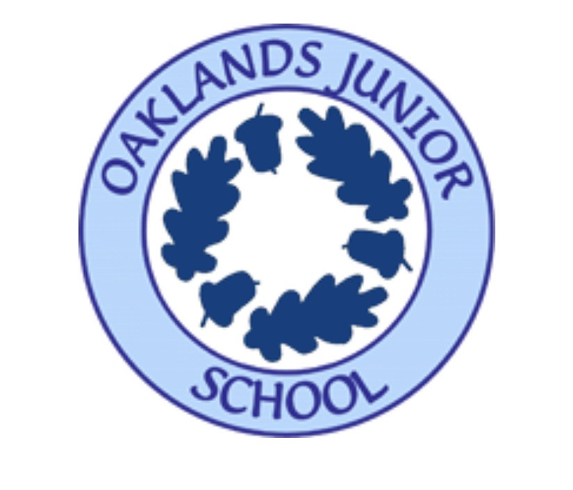 The Beehive Club - Oaklands Junior School photo